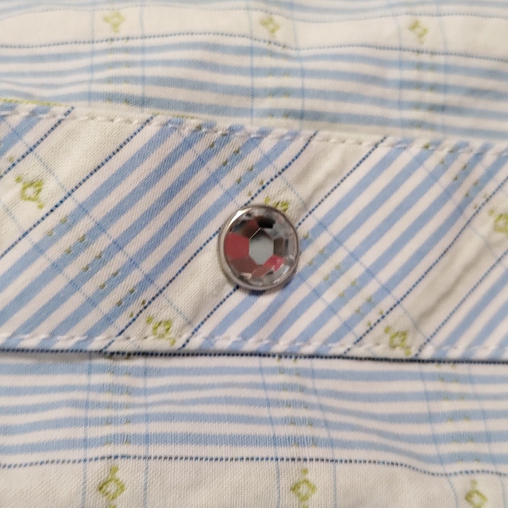 6173 Panhandle Slim Rough Stock lt blue & green Western shirt M - Picture 6 of 15